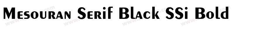 Mesouran Serif Black SSi Bold Italic字体转换